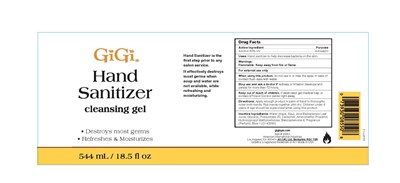 544 mL (Gg Scr 23 6771 2 60301 Hand Sanitizer 18 5oz (2))